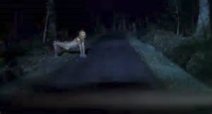 Dark roadside image of a spectral figure